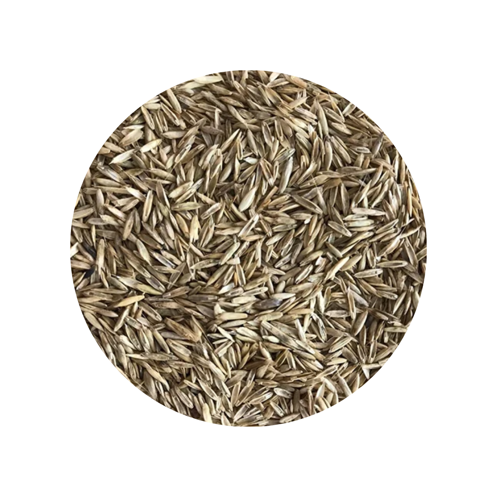 SEM AZEVEM BRS PONTEIO 15KG