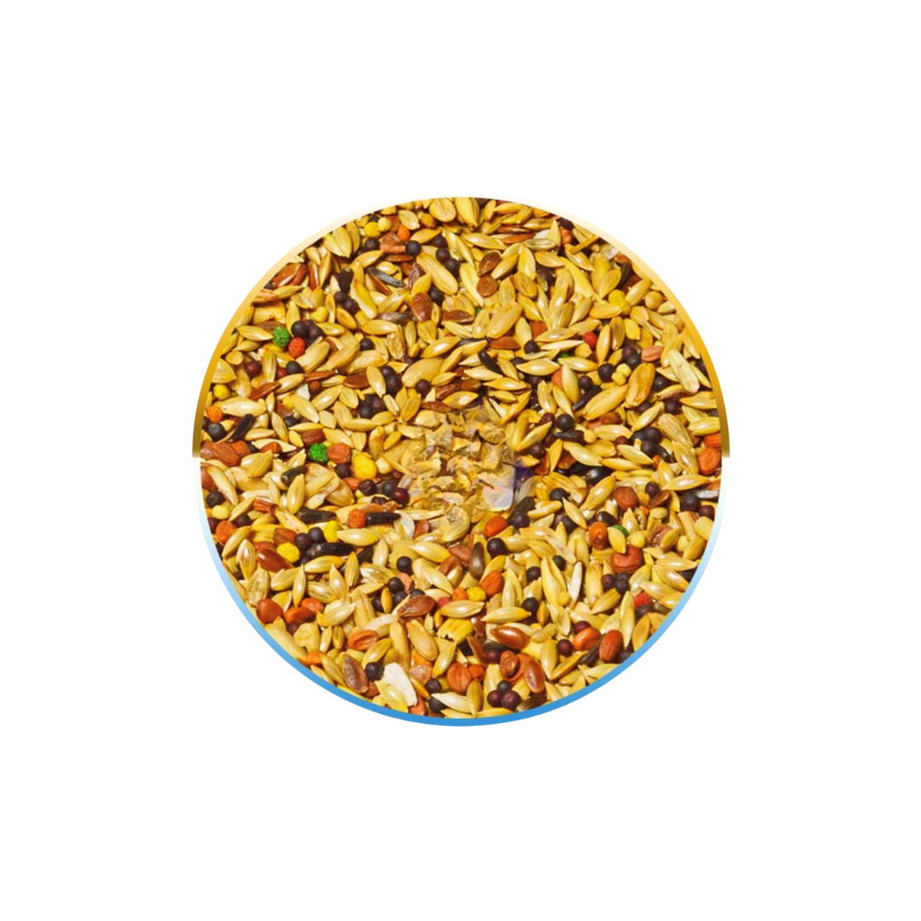 MISTURA PARA CANARIO COM MEL 10 KG