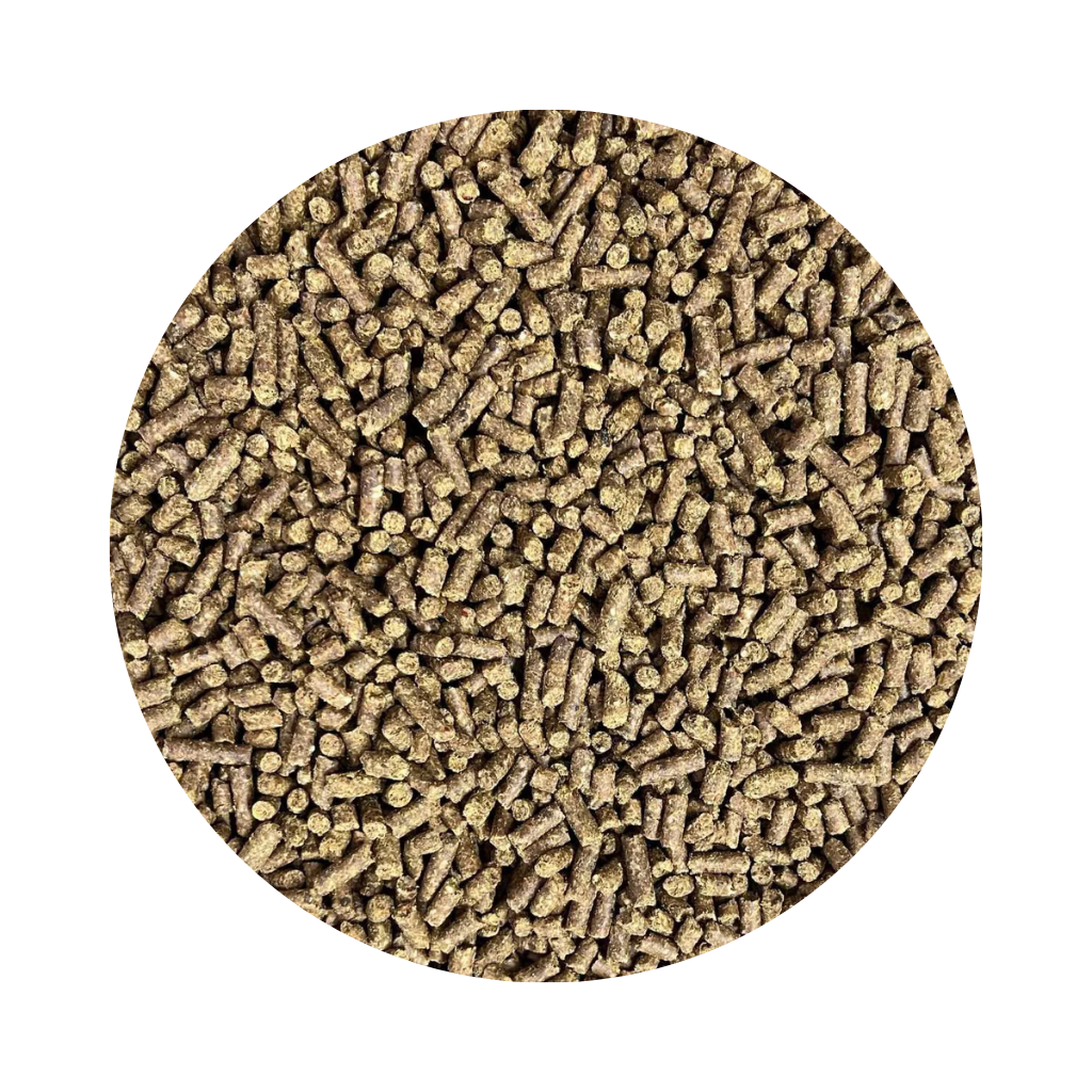 GRANULADA GROSSA BANANA 5 KG
