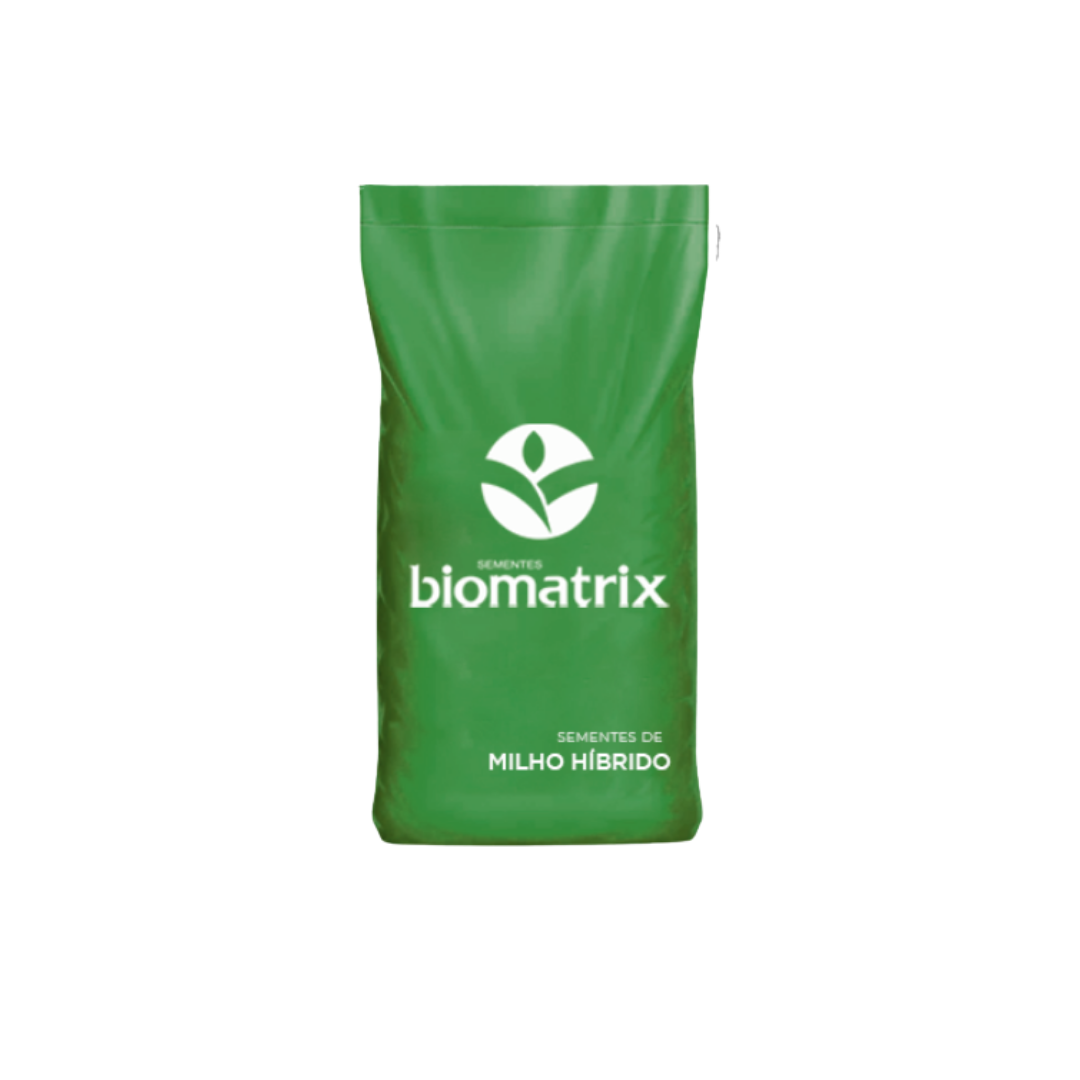 SMH BM 3051 C3M LOTE:1MB1BF18128