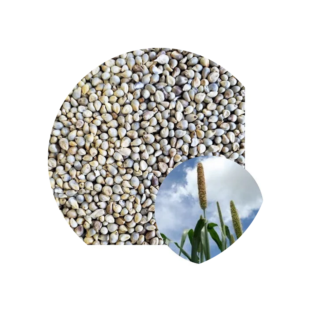 MILHETO BRS 1501 30KG