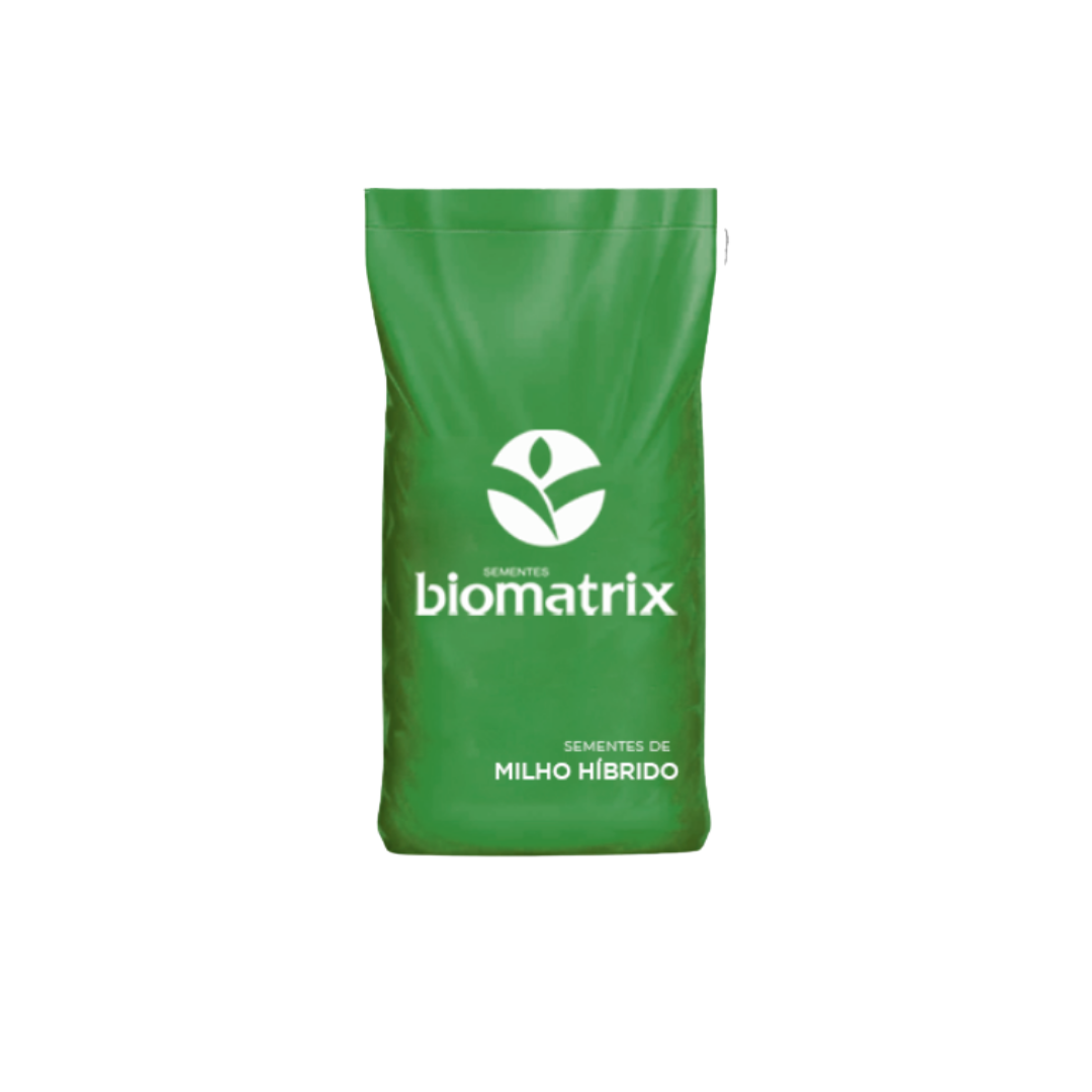 SMH BM 3063 BTMAX L:FCV1MB1AE14347