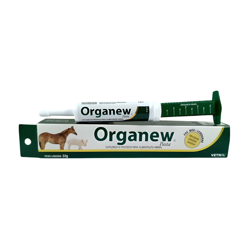 ORGANEW PASTA VETNIL 32G